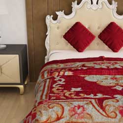 Double-Bedsheet-with-2-Pillow-Cover-at-Rs.299